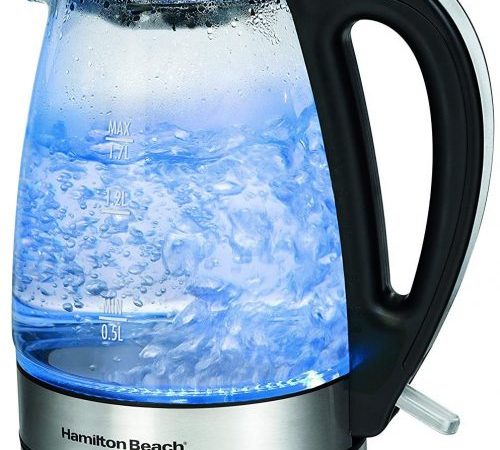 best rated electric kettles