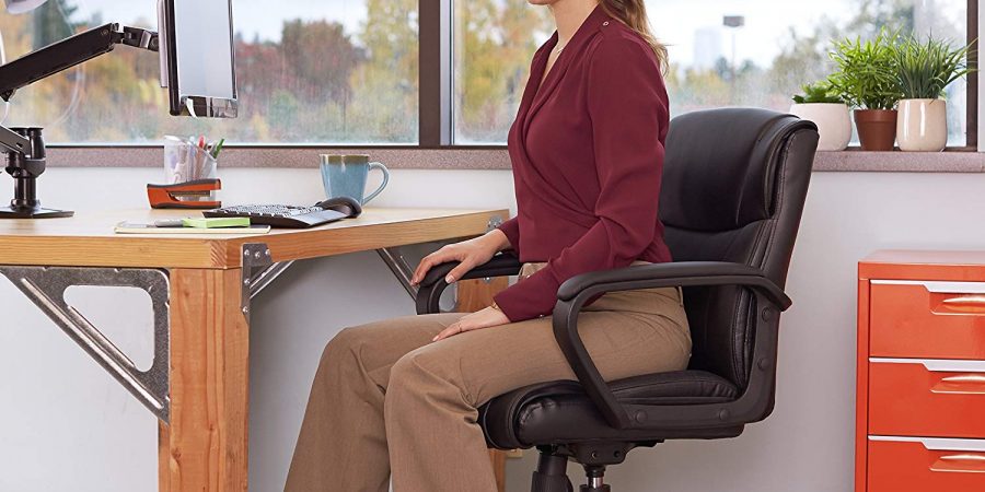 Top 10 Best Office Chairs With Lumbar Support In 2019 Spacemazing