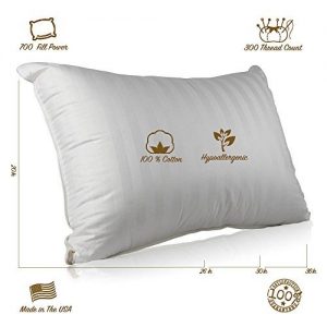 Continental Bedding SP100-Q Superior Pillows