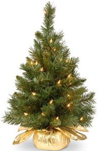 National tree24 inch majestic Fir tree