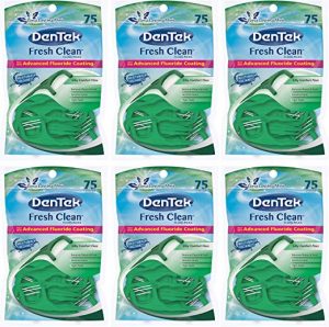 DenTek Fresh Clean Floss Picks | Silky Comfort Floss to Remove Plaque & Food