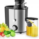 Bagotte Juicer Machine 