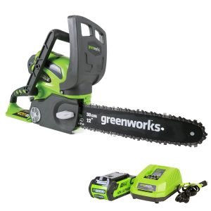 Greenworks 12-Inch 40V Cordless Chainsaw | 2.0 AH Battery Included