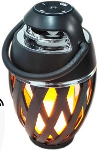 Outdoor Bluetooth Speaker with LED Flame Torch