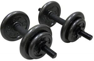 gold's gym adjustable cast dumbbell set 40 lbs