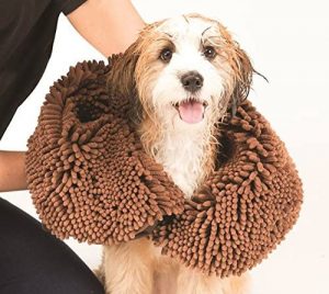 dog shammy towel