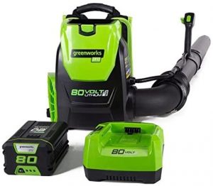 Greenworks 80V 145MPH - 580CFM Cordless Backpack Leaf Blower