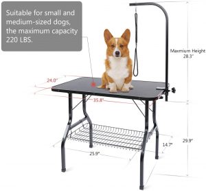 flying pig grooming table