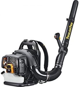 Poulan Pro PR48BT, 48cc 2-Cycle Gas 475 CFM 200 MPH Backpack Leaf Blower