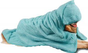 soggy doggy towel