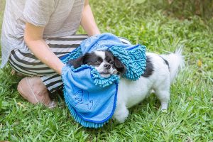 Tuff Pupper Large Dog Shammy Towel for both large and small dog