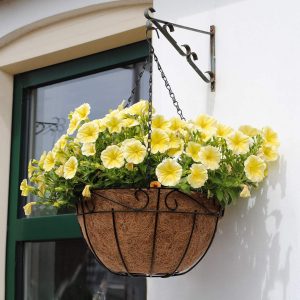 hanging strawberry planter