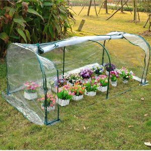 plastic cold frame greenhouse