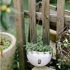 ceramic hanging planter