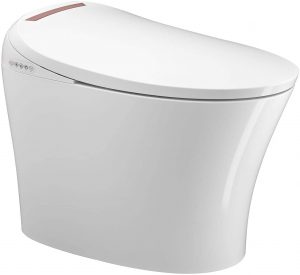 Household Electric Multifunctional Toilet