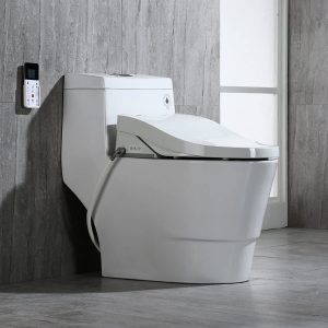 WOODBRIDGE T-0008 Luxury Bidet Toilet On Display