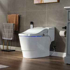 WOODBRIDGE Modern Smart Toilet